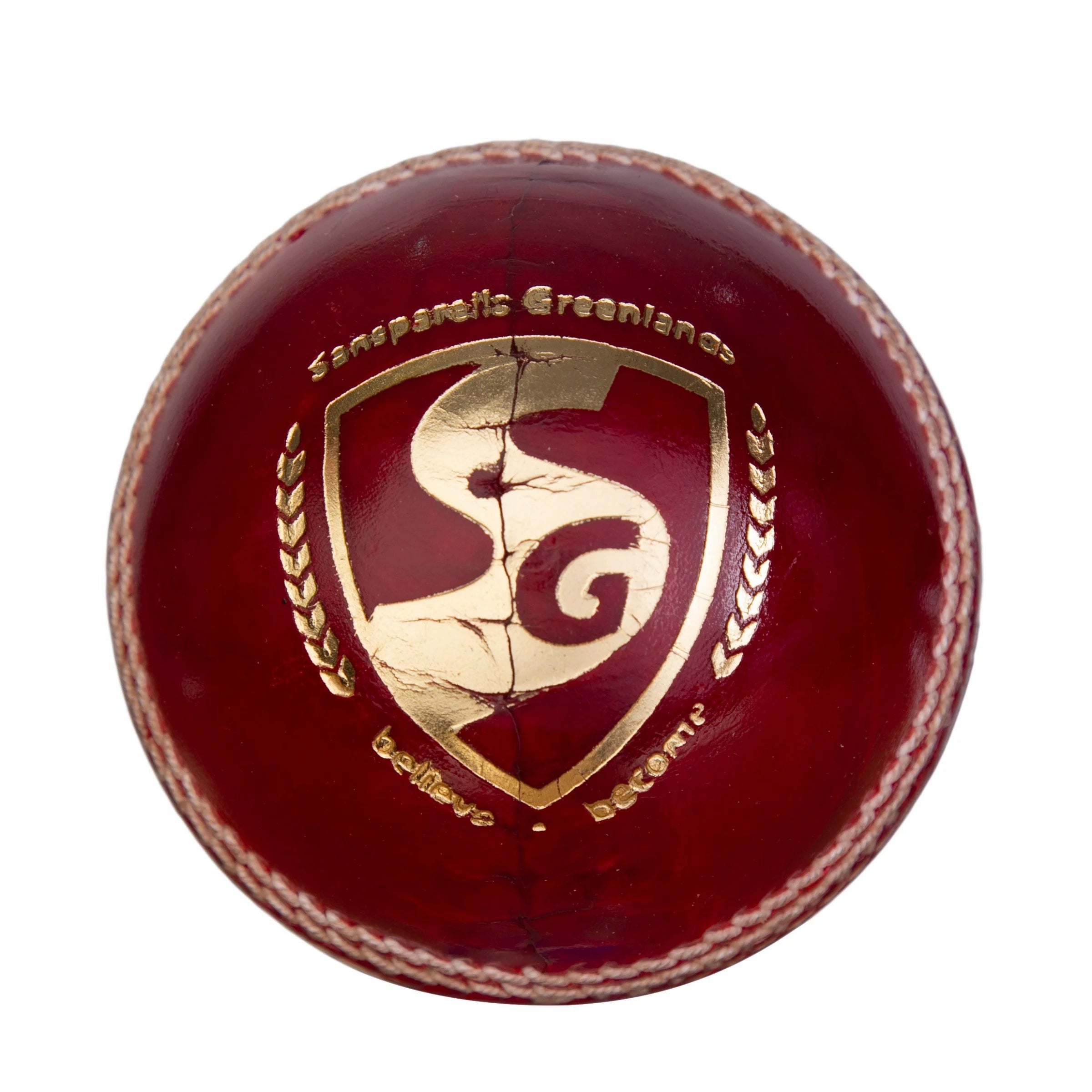 SG Bouncer Cricket Leather Ball Red Achivr