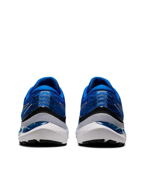 Gel-Kayano 29 Asics Men's Running Shoes