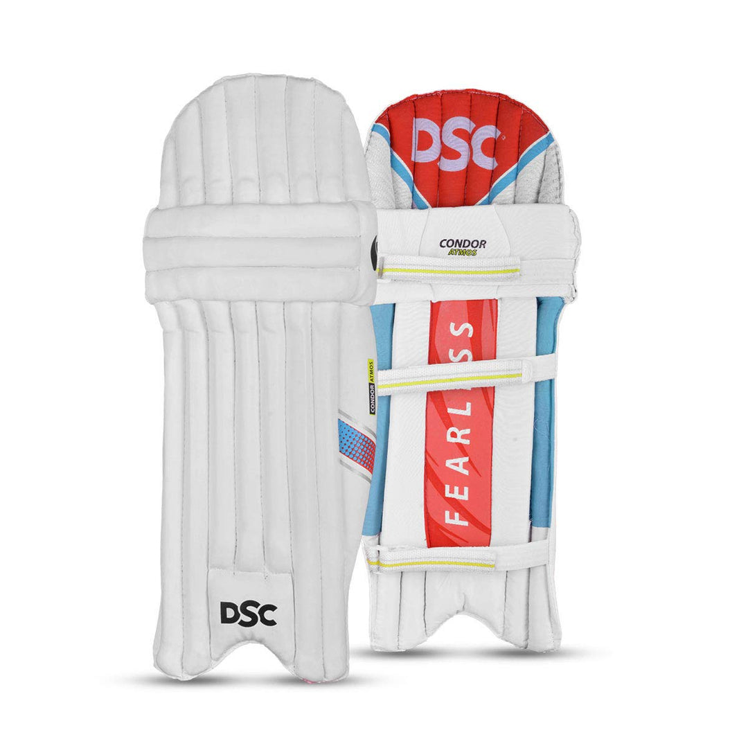 DSC Premium Range Kashmir Willow Full Cricket Kit